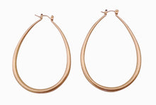Load image into Gallery viewer, Janelle Earrings Enhance Accessories 