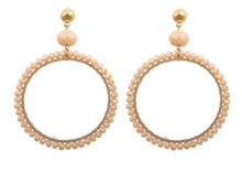 Load image into Gallery viewer, Blush Earrings Enhance Accessories 
