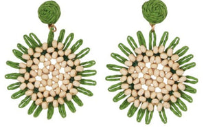 Gree Daisy Design Earrings Enhance Accessories 